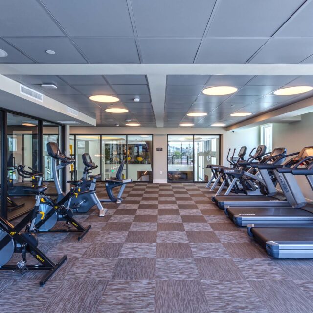Glendale, CA, Modern Apartments Near Glendale Transportation Center - Sona Glendale - Fitness Center With Treadmills, Stationary Bikes, Glass Walls, and Modern Ceiling Lights.