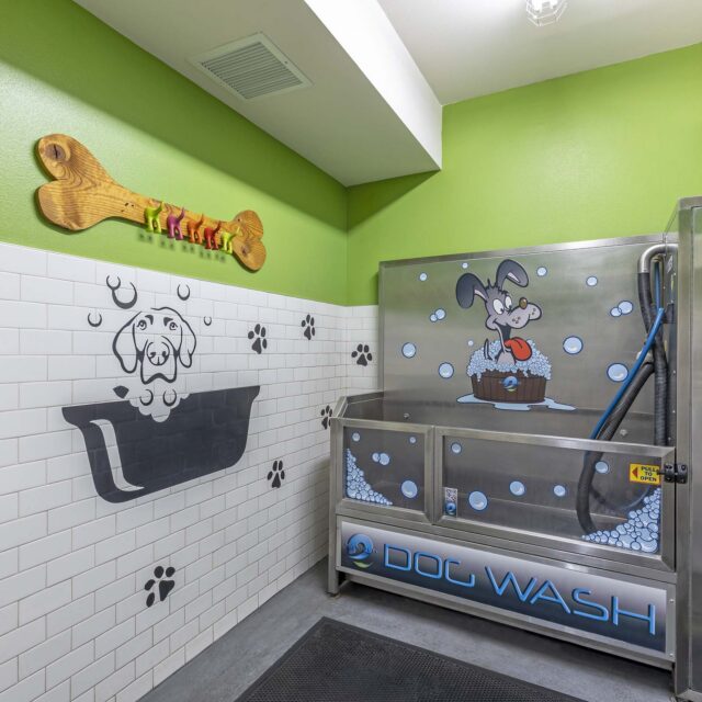 31-camden-glendale-apartments-glendale-ca-private-dog-spa-washing-station-with-hose-and-dryer.jpg